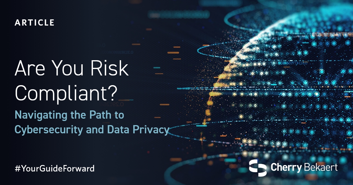 Going Global: Cybersecurity & Privacy Risk Management | Cherry Bekaert