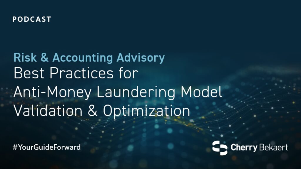 Aml Validation AML Model: Validation and Optimization Best Practices | Cherry Bekaert