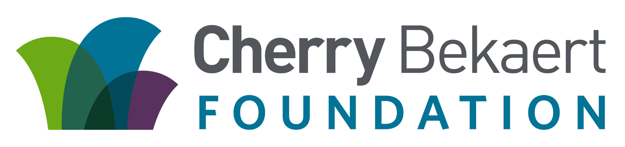 Cherry Bekaert Foundation logo